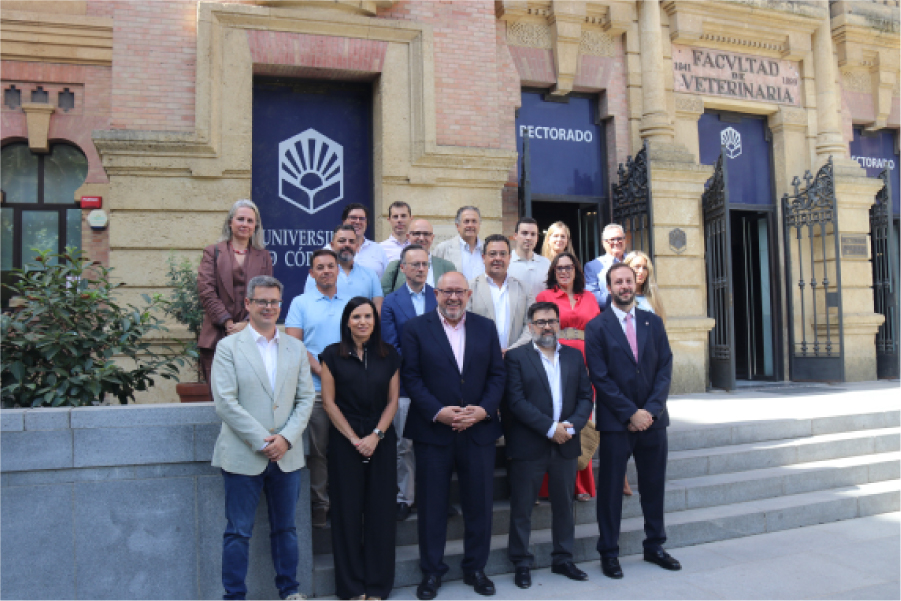 L’université de Córdoba crée une nouvelle chaire pour dynamiser l’industrie du bois et du meuble dans la province